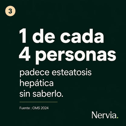 Nervia™ Drenaje Hepático — Desbloquea la red linfática de tu hígado