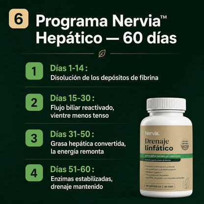 Nervia™ Drenaje Hepático — Desbloquea la red linfática de tu hígado