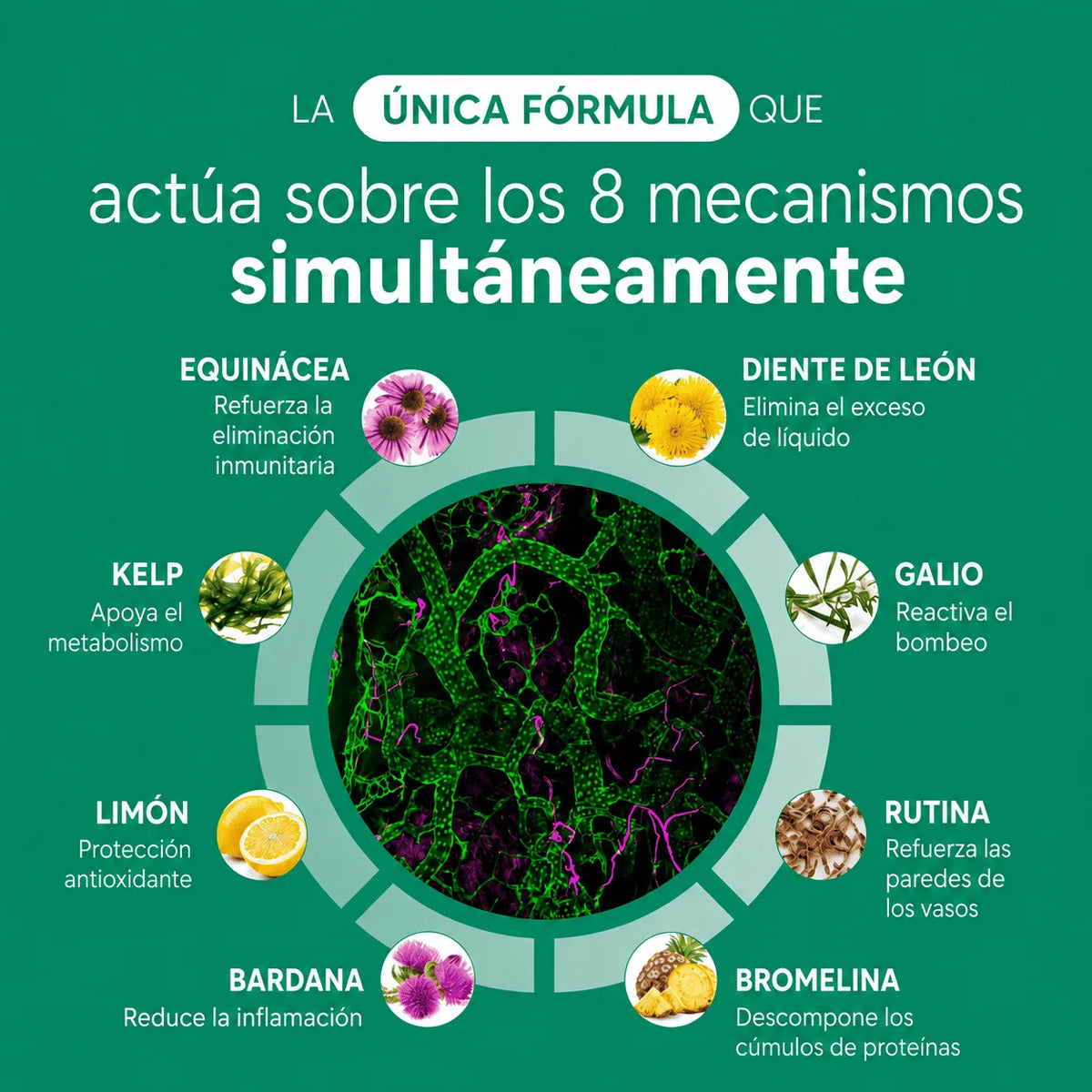 Nervia™ - Cápsulas de Drenaje Linfático - Transformación total en 60 días