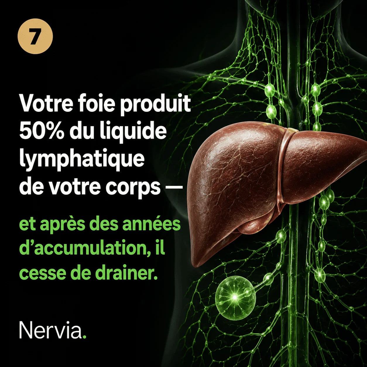 Nervia™ Drainage Hépatique — Débouchez le réseau lymphatique de votre foie